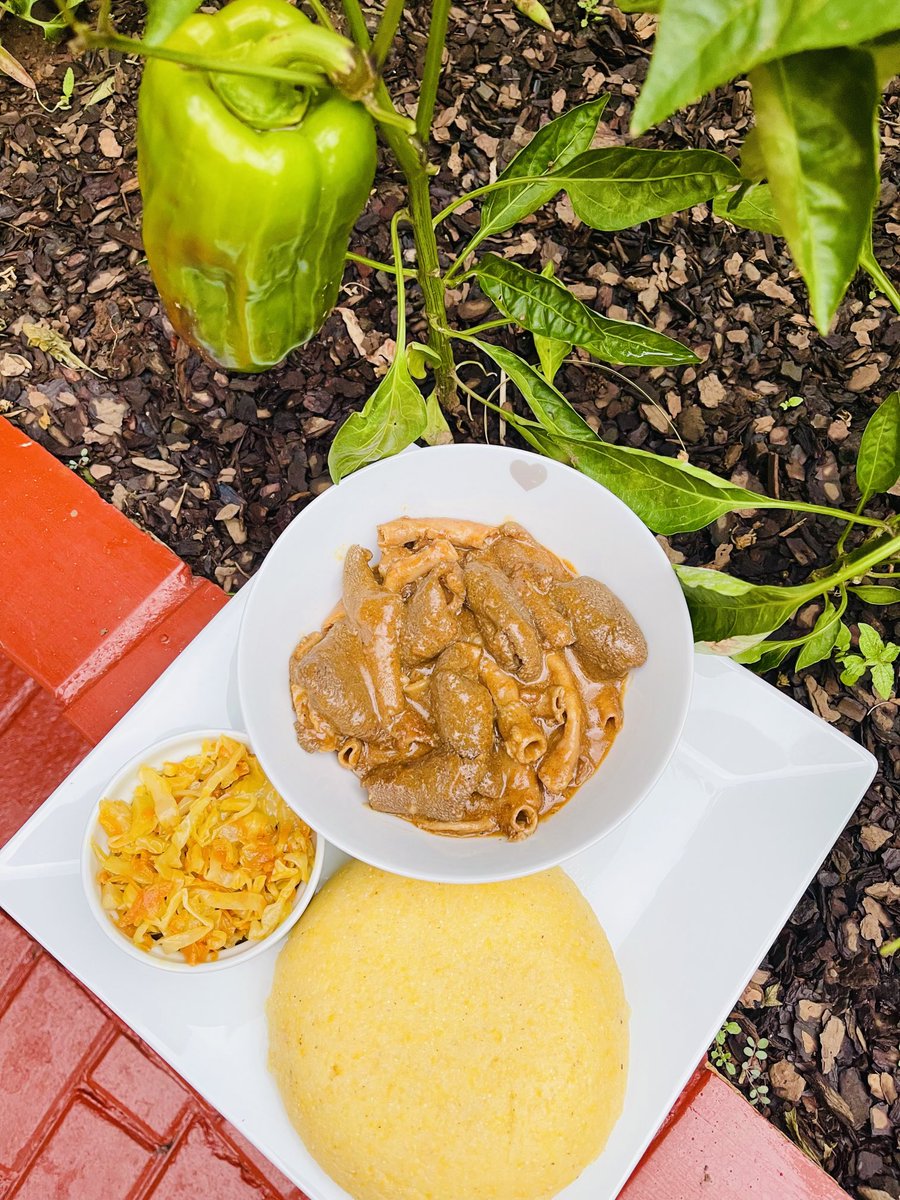 NevariMpho's tweet image. T-man Supper served 
Nothing hectic 
Mogodo and my Venda tradition yellow pap 
#Magickitchen
#ITISNOWORNEVER
#WORKINPROGRESS
#CONSISTENCY
#DEDICATION
#DETERMINATION
#BEKINDTOYOURSELF
#KEEPTHEFAITH
#ITISWELLWITHMYSOUL