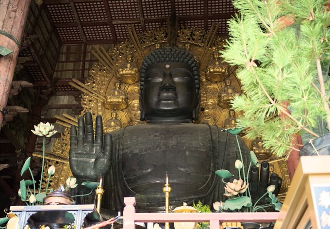 大仏様のtwitterイラスト検索結果