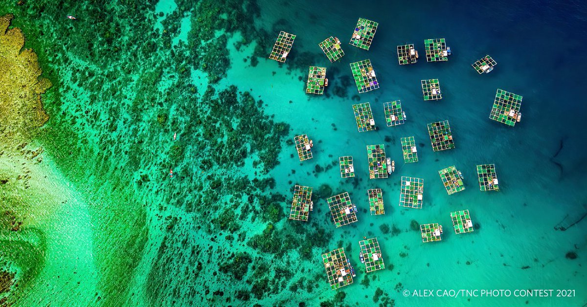 nature_org's tweet image. We’ve all got to eat, but our food shouldn’t come at nature’s expense. 

New research shows how local #foodsystems could help heal the planet. nature.ly/3b5ATXE #GrowPositive