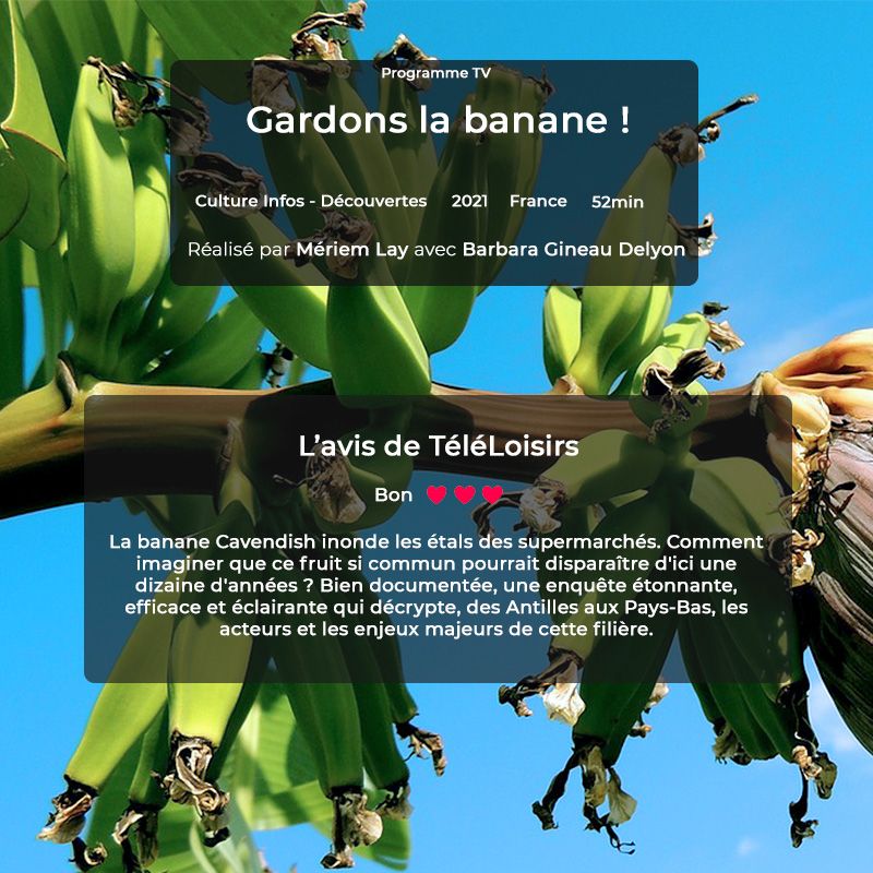 JolieProd's tweet photo. Merci à #teleloisirs pour ces jolis mots !
Diffusion demain à 20h55 sur @France5tv @Francetele
Un film réalisé par Meriem lay avec Barbara Gineau Delyon
Production #lajolieprod
#banane #fruits #transitionecologique #transition #environnement #consommationdurable  #zerodechet https://t.co/cctC7crNeP