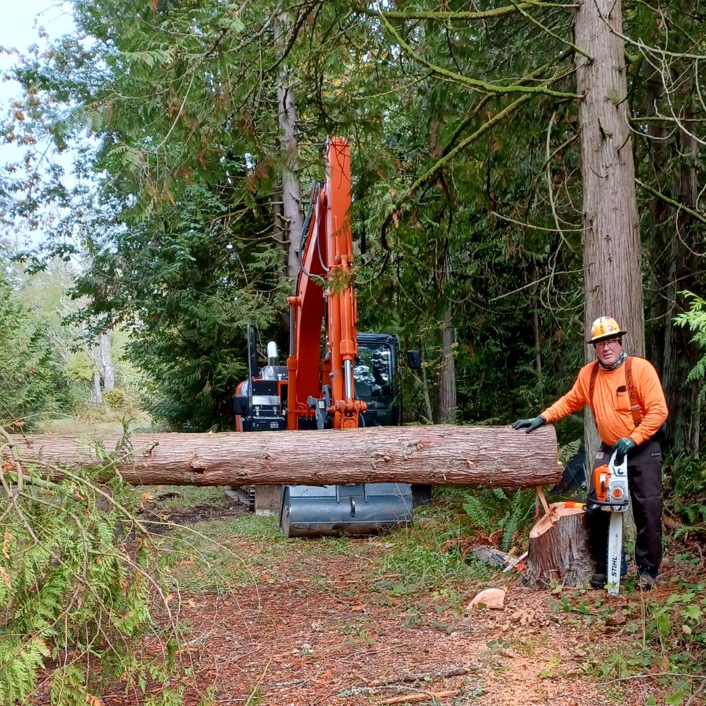 Sometimes Step #1 in building a new wireless site in Western WA is to get a couple of trees out of the way. As you can see, Jay's got that completely under control. (What a guy!) Timmmberrrr!! #LegacyTowers #WeDoItAll! #KeepingYouConnected