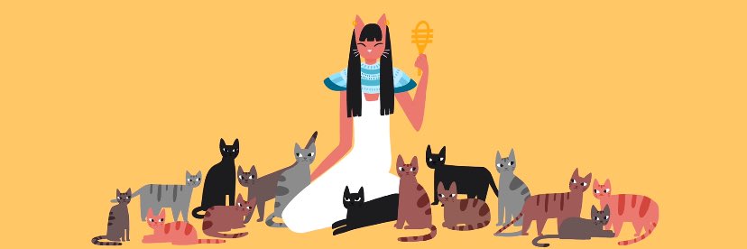 🐈‍⬛