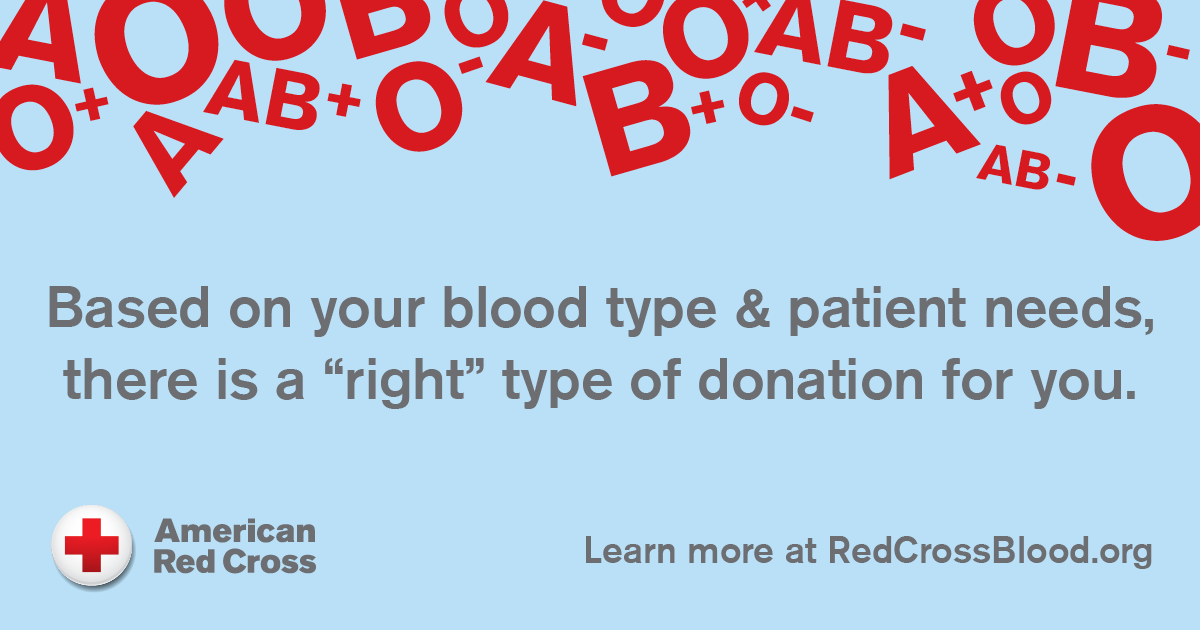 Our sister community, <a href="/renewneilllake/">ReNew at Neill Lake</a>, is hosting a blood drive next month! Donate blood and help save lives. Sign-up here for a time that works for you: rcblood.org/3mexf4c. 🔴 #BloodDrive