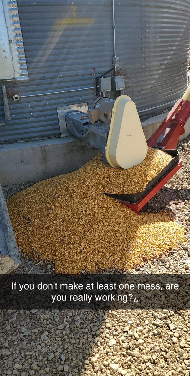 Adam Nechanicky tweet media