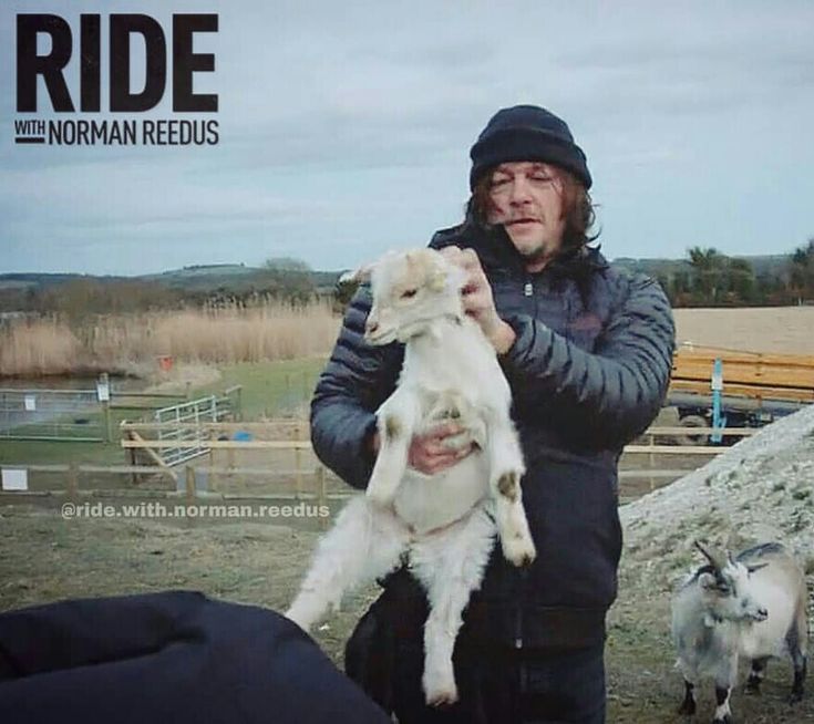 AberforthDu's tweet photo. 🐐ᴀʙᴇʀғᴏʀᴛʜ ᴅᴜᴍʙʟᴇᴅᴏʀᴇ🐐

↦Sᴀɴɢʀᴇ ᴍᴇsᴛɪᴢᴀ
↦Cᴏɴʟᴄɪᴅᴏ ᴄᴏᴍᴏ Aʙ
↦Pʀᴏᴘɪᴇᴛᴀʀɪᴏ Cᴀʙᴇᴢᴀ ᴅᴇ Pᴜᴇʀᴄᴏ
↦Hᴇʀɴᴀɴᴏ ᴅᴇ Aʟʙᴜs ʏ Aʀɪᴀɴᴀ
↦Gʀɪғғʏɴᴅᴏʀ 
↦Aᴍᴀɴᴛᴇ ᴅᴇ ʟᴀs ᴄᴀʙʀᴀs.

╭┈──────
Rt  ↺  Fv ♡  

     ╰┈┈┈┈┈┈┈➤ https://t.co/Nriz3CULtJ