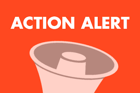 DWEJonline's tweet photo. ACTION ALERT! Protect Detroit children! Attend the online City Council meeting TOMORROW 10/26 at 10AM and tell the Council NOT to weaken lead testing and protections in rental units.
Learn more here: https://t.co/tJYUbEBthS
Link:https://t.co/GyQRbfnbXA https://t.co/CqBWdIDnza