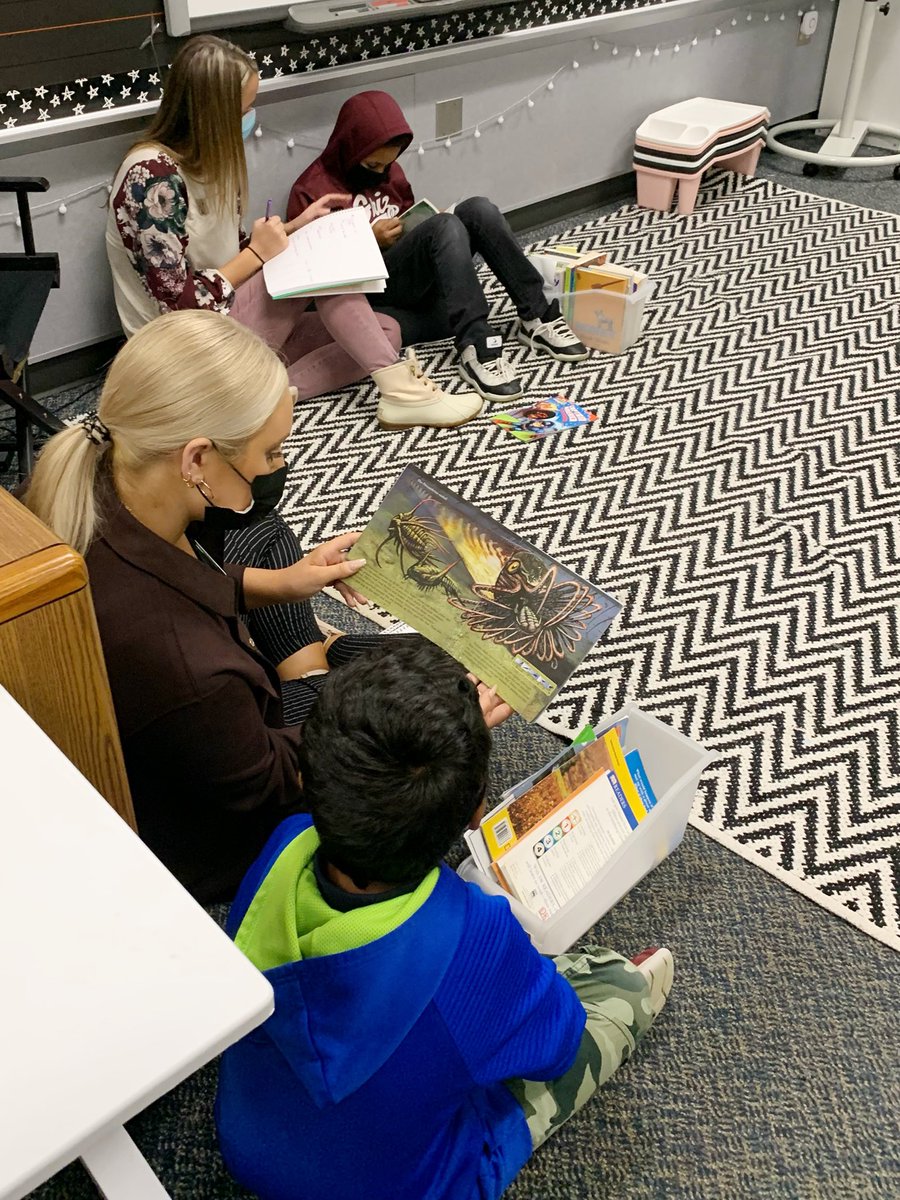 Maddie Comer tweet media