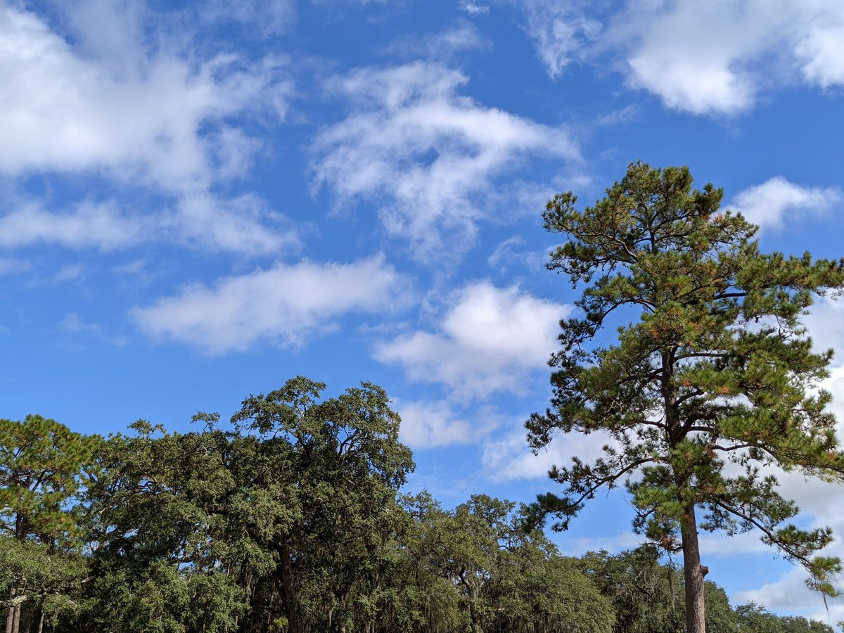 Gknee's tweet photo. Another beautiful day at school. #EducationalInterpreter #MiddleSchoolLife #JSMAL https://t.co/8gyWO1YMKh