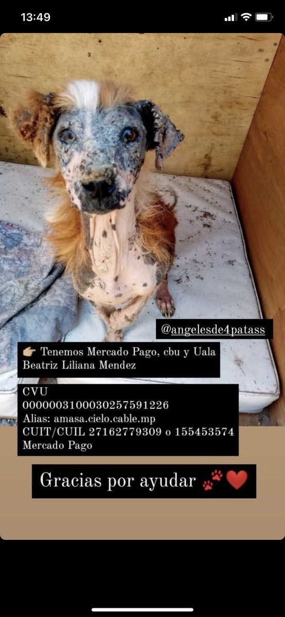 flores (@fiorediosaa_xd) on Twitter photo 