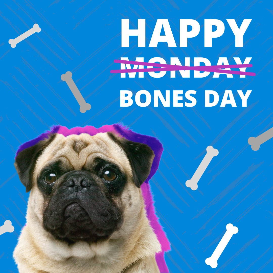 Get out there and make today a #bonesday!
