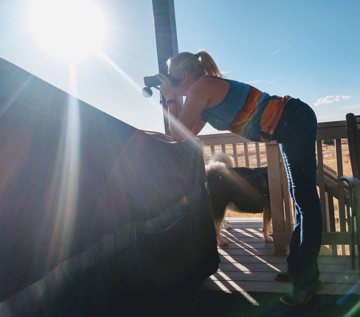 rmjeepchicks's tweet image. #TiptoeTuesday backyard bird watching! #summerdontgo #MondayMotivation