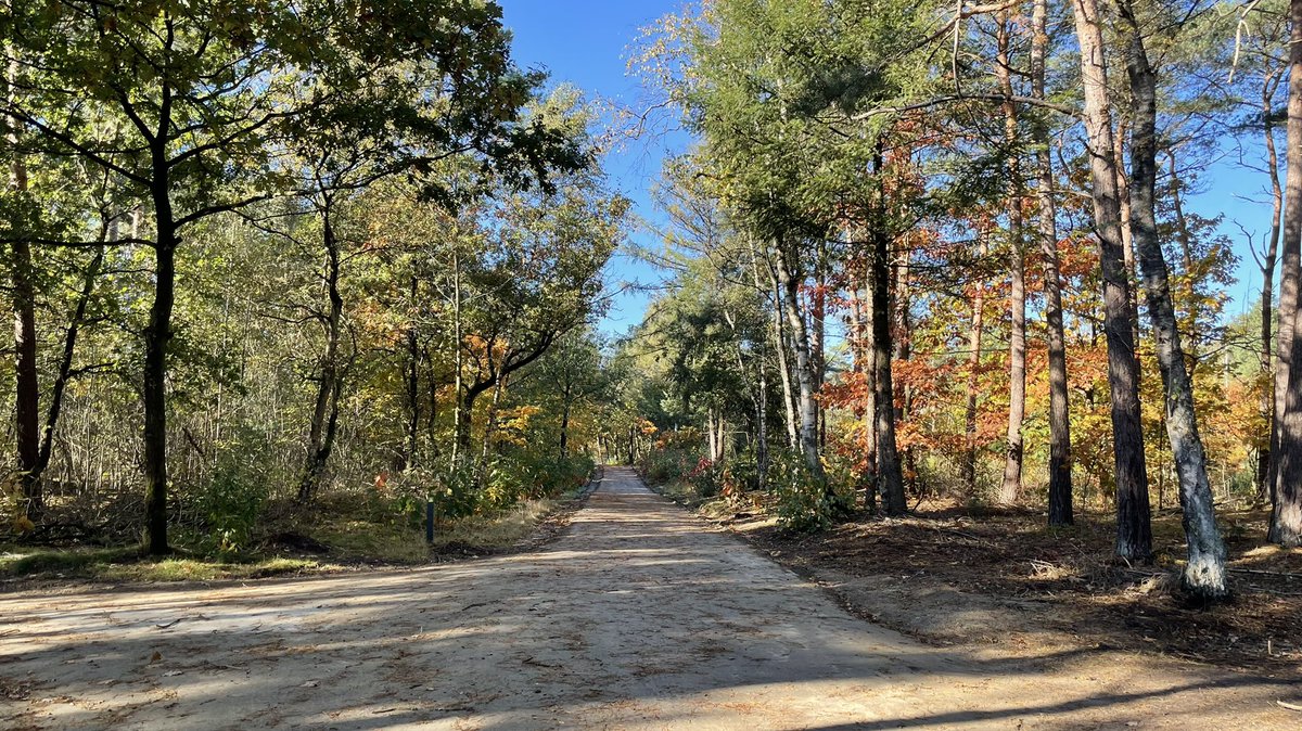 Hubert_Anemaat's tweet photo. @toinecooijmans @NVerdaasdonk @natuurpunt Het Riethovens bos met #DeOverbodigeWeg #Westparallel is ook volgestort met beton.
Waarom wordt dit bos verder vernield, @Brabant, @bergeijkgem ? https://t.co/WuC3SgmpPT
