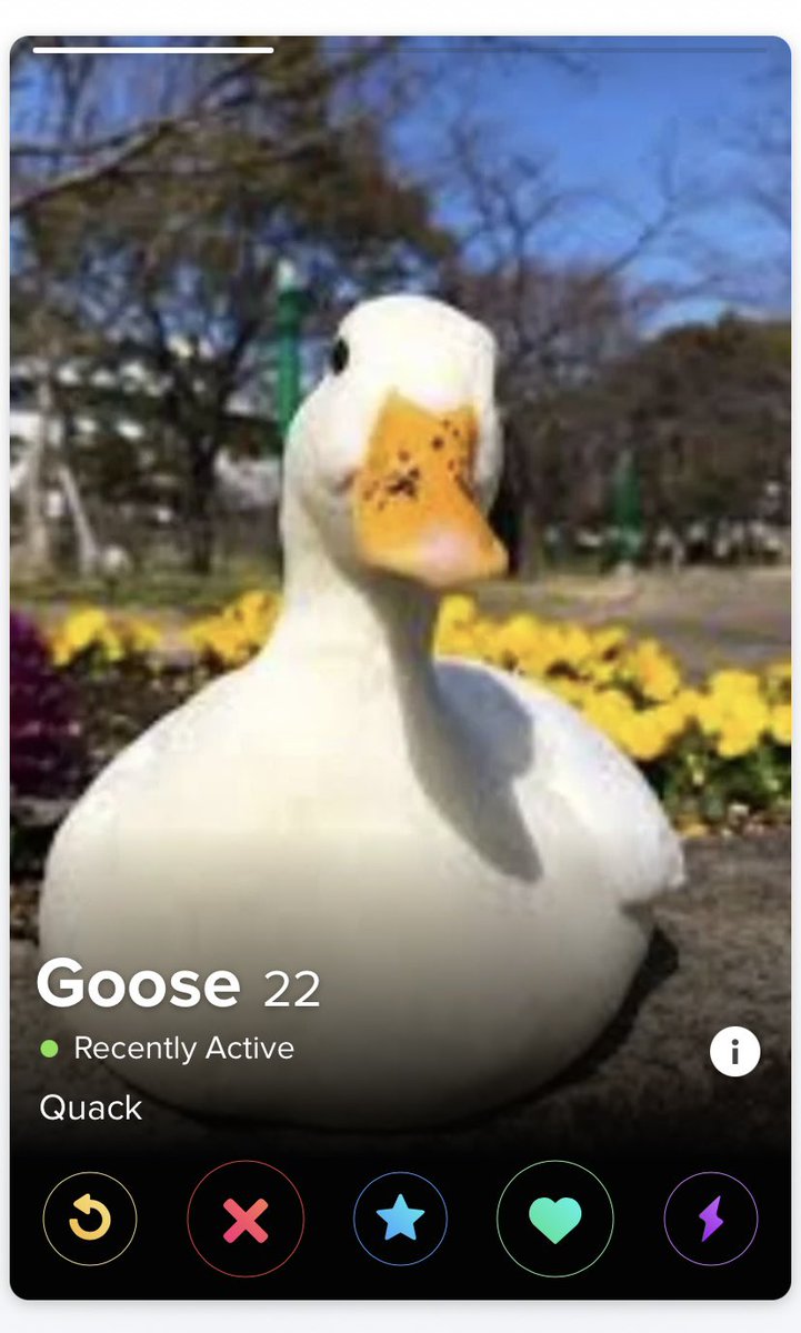furrycrowpro's tweet photo. Tries to find fairy girlfriend on tinder:
Tinder: https://t.co/IqIBMKWuB0