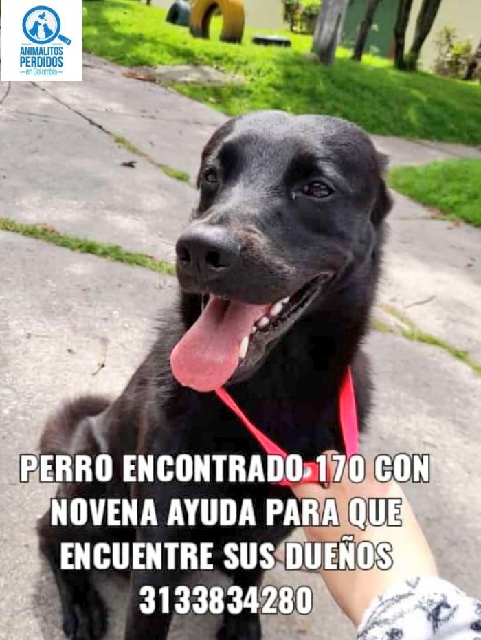 losbuscamos_col tweet picture