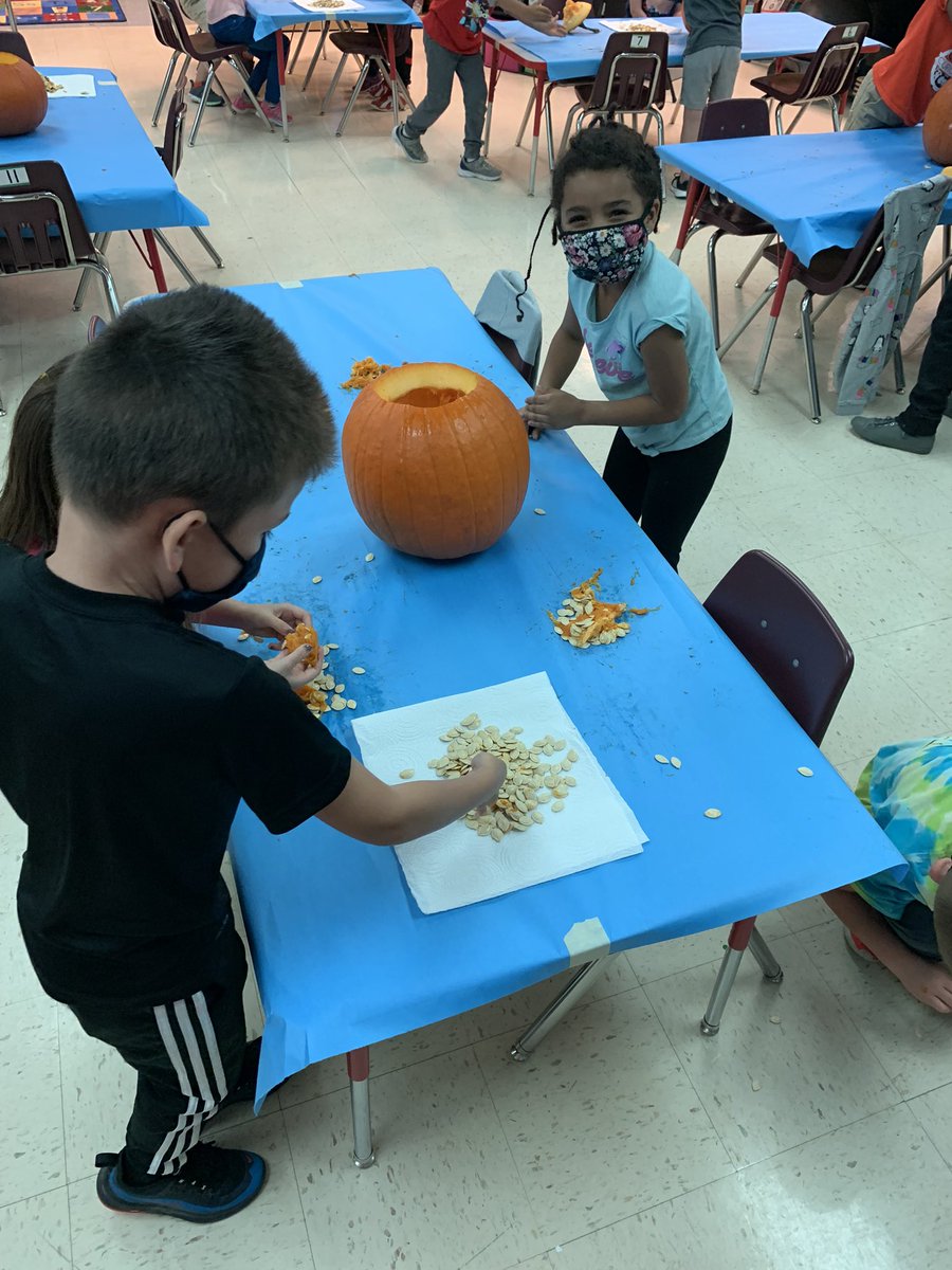 So much fun in room 11 with our pumpkin investigation! We loved making observations and using our math skills to count the seeds! #funinfirstgrade #oneccps @EESMaher 🎃