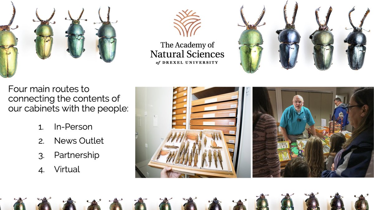 Entomological Collections Network (@entcollnet) on Twitter photo Taking a tour with <a href="/isabetabug/">Isa Betancourt 🦋🕷🌎</a> to explore the events, exhibits, and partnerships she and her coworkers at @acadnatsci have formed to make the @anspEntomology collection accessible beyond scientific research.
#FromTheCabinet #ECN2021 Taking a tour with <a href="/isabetabug/">Isa Betancourt 🦋🕷🌎</a> to explore the events, exhibits, and partnerships she and her coworkers at @acadnatsci have formed to make the @anspEntomology collection accessible beyond scientific research.
#FromTheCabinet #ECN2021