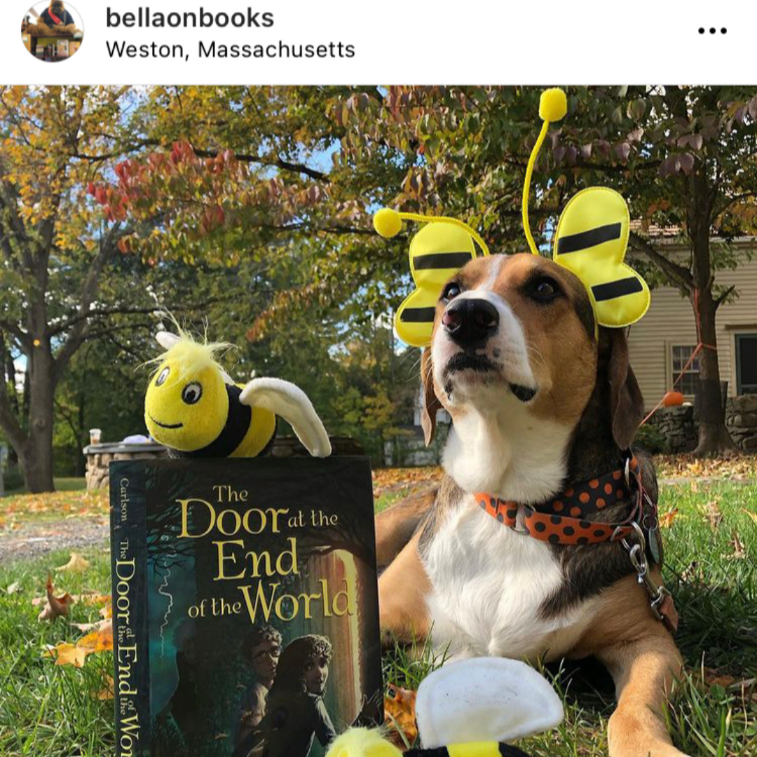WestonLibrary's tweet photo. Check out our Kids' Instagram page--BellaOnBooks! Every weekend we feature a new title we're reading. That's not all though! Sometimes we add visual representations book displays in the library and booklists added to our Kids Blog.
#BellaOnBooks #LibraryDogs https://t.co/i2oIXwYooR