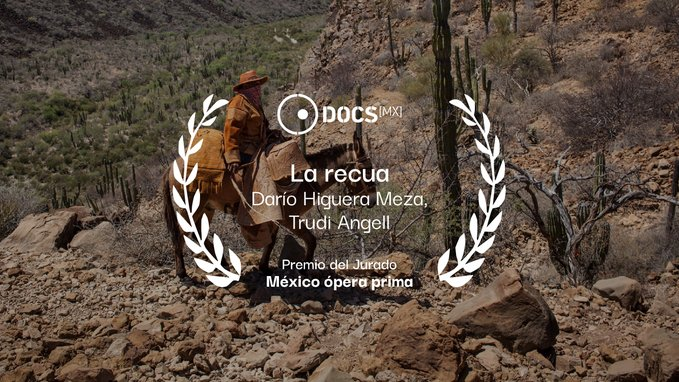 imcine's tweet photo. La edición 16 de @DocsMX terminó este fin de semana, pero @RDoctubre continúa 🤩

Aquí te dejamos el hilo con los documentales mexicanos que fueron premiados en el festival. ¡Felicidades a todos! 🏆 https://t.co/v3yAeCHMw8