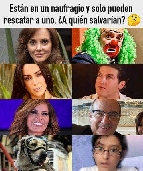 Javierher tweet media