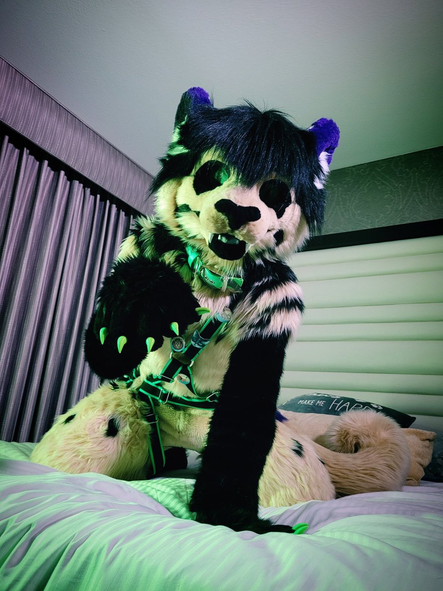 HashHyena's tweet photo. Second batch of Edited photos from Saturday's shoot!
#BLFC2021 https://t.co/I5C3jTcTcV