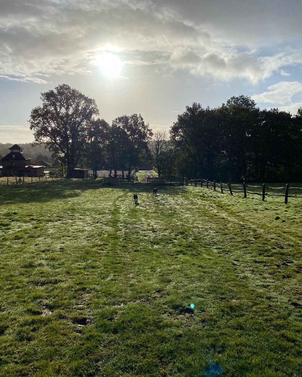 brain_taware's tweet photo. *10% of my target reached!*
3 months into the fundraising and I have reached 10% of my target! Thank you again for all the support and amazing generosity.
110.24km down, 19.76km to go! 
Please donate what you can using the link in my bio.
#twilightwalk @BrainTumourOrg https://t.co/9BKKWF4GCw