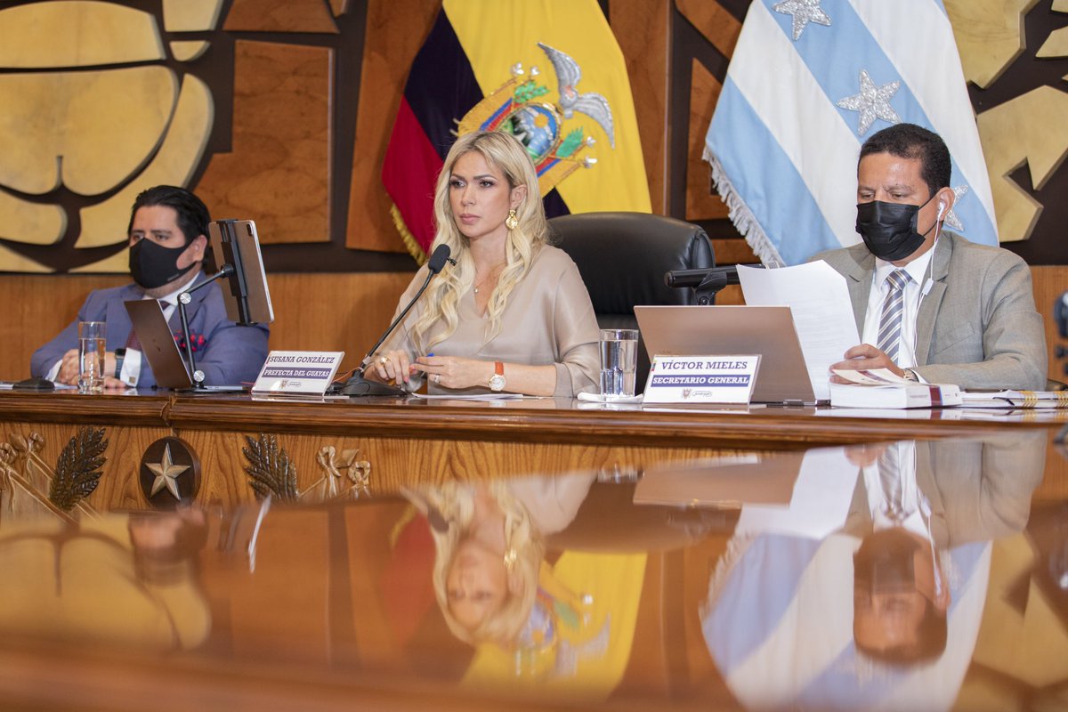 soysusanag's tweet photo. Ante la crisis de inseguridad, junto a los consejeros y consejeras de la provincia, exigimos al Gobierno se asignen los recursos necesarios para proteger a Guayas; así como un plan nacional que garantice la vida y tranquilidad de los ecuatorianos. https://t.co/iHbwcIl2vX