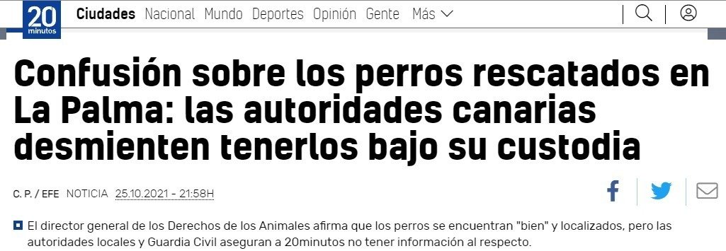 lealesorg's tweet photo. El director general de los Derechos de los Animales afirma que los perros se encuentran "bien" y localizados, pero las autoridades locales y Guardia Civil aseguran a 20minutos no tener información al respecto.
#dondeestanlospodencos
#VolcanLaPalma #VolcandeLaPalma #LaPalma https://t.co/bwgcOag8tS