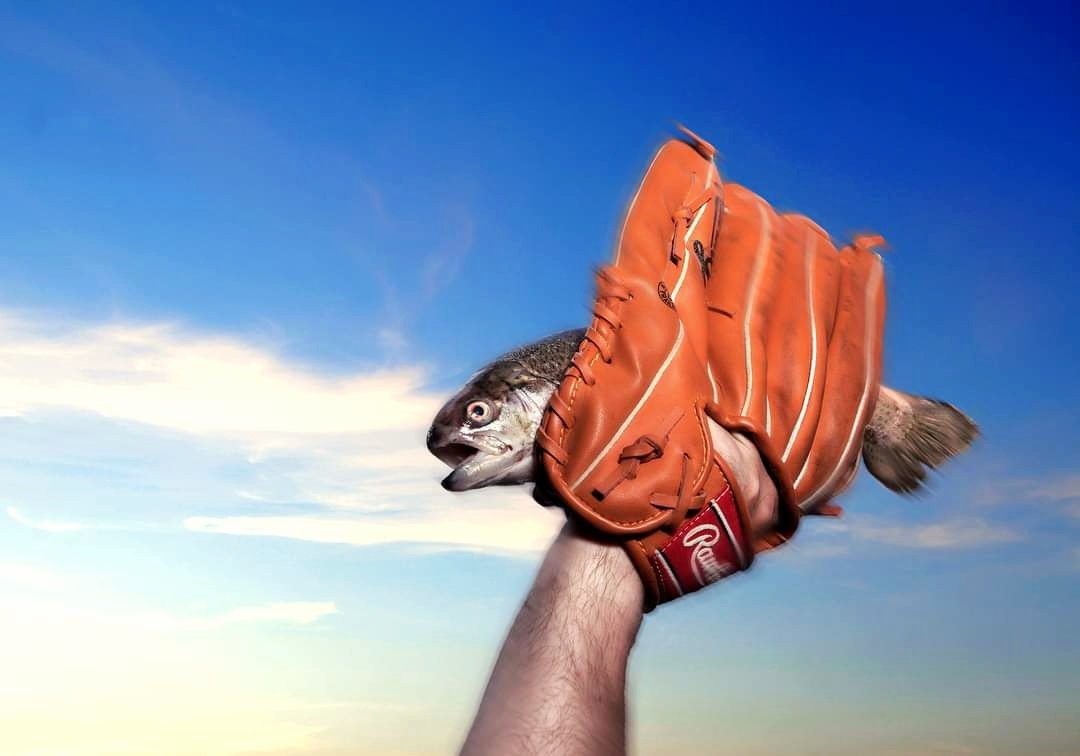 Catch of the Day !  //  ##Fish  tommophoto.com