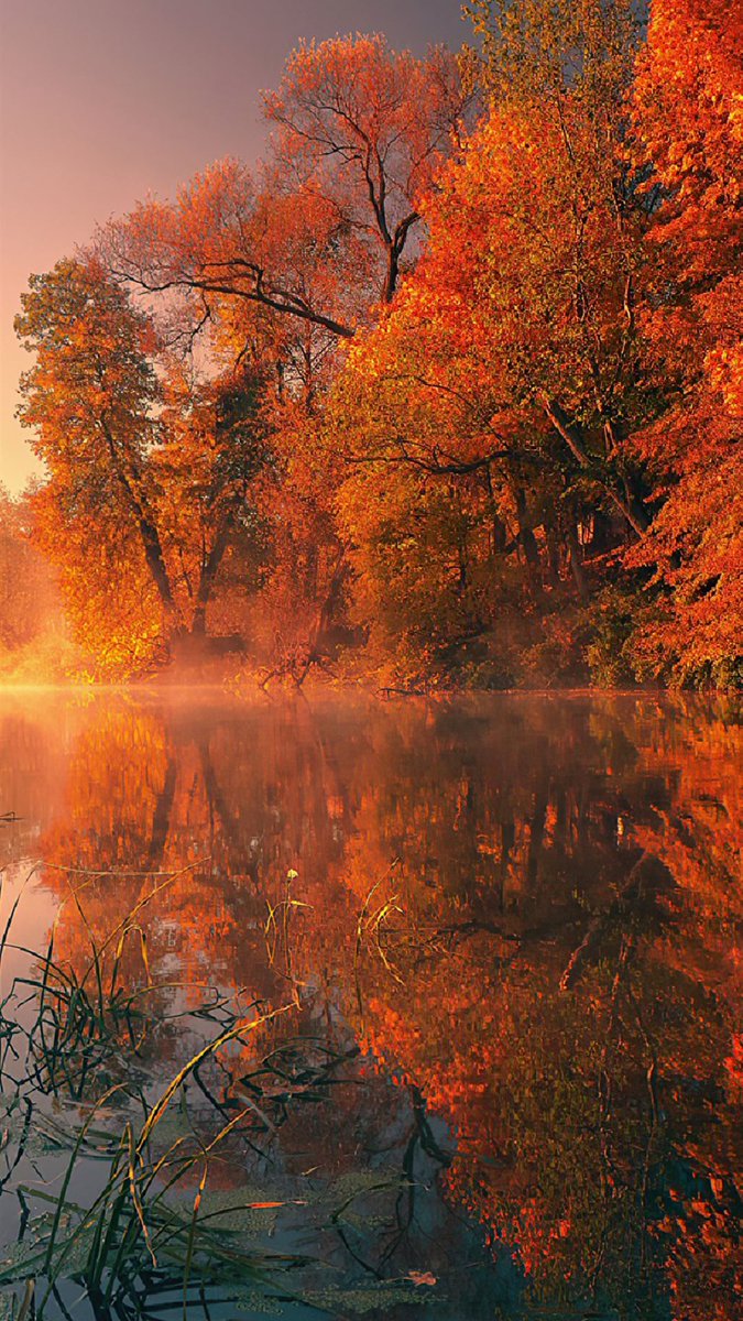 stephenGary90's tweet photo. Reflections 🧡 https://t.co/mSozZQXsJ0