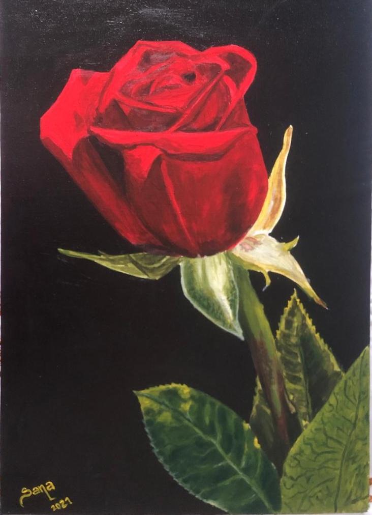 Sana_Artist's tweet photo. #InternationalArtistDay #Ubax
🌺🌷🎨Caawa waxaa idin sidaa labo Ubax oo kala midib ah waxaana rajeynaa iney ishiinu qaban doonto. #flowerpainting #somaliart https://t.co/wpTSMepfeH