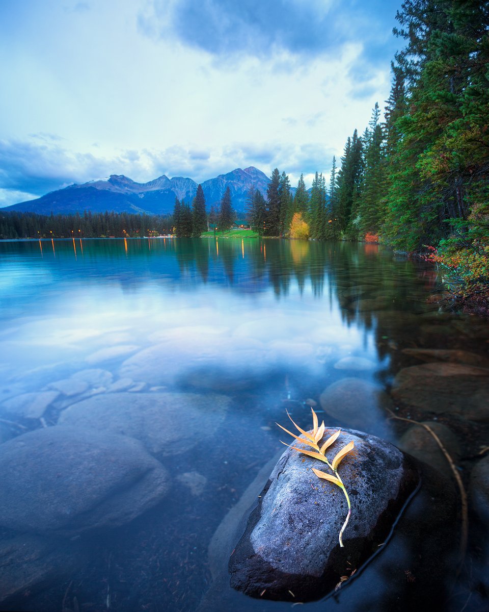 FairmontJPL's tweet image. Looking to get out of the city next month? Book now and save - get 40% off your November room rate when you book our Last Minute Fall Getaway before October 31! Click here for details. bit.ly/2Zv2Q95
📷: @argenel on IG 
#explorealberta #adventurehere #yeg #yyc