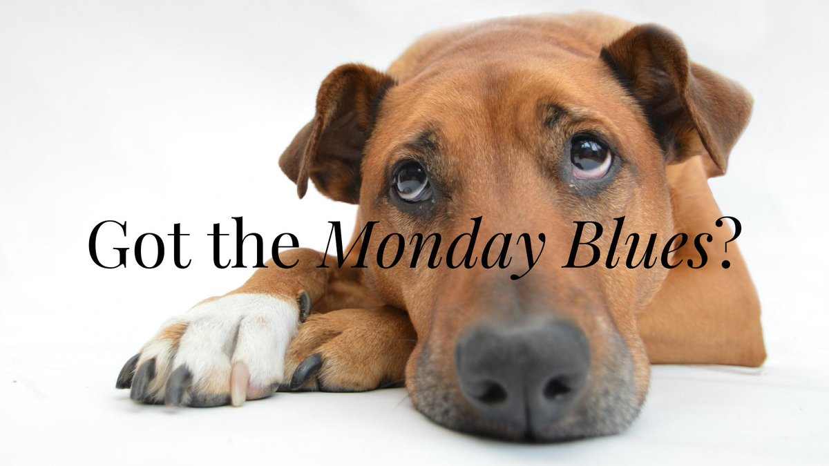 Cure your #mondayblues by purchasing tickets to our comedy show on 11.20.21. 

Dinner at 6pm and the show starts at 7:30pm.

Tickets are $70pp for dinner and a show or $30pp for just the show!

Call (413) 568-1636 ext. 2 or email jgodaire@tekoacc.com to purchase tickets!