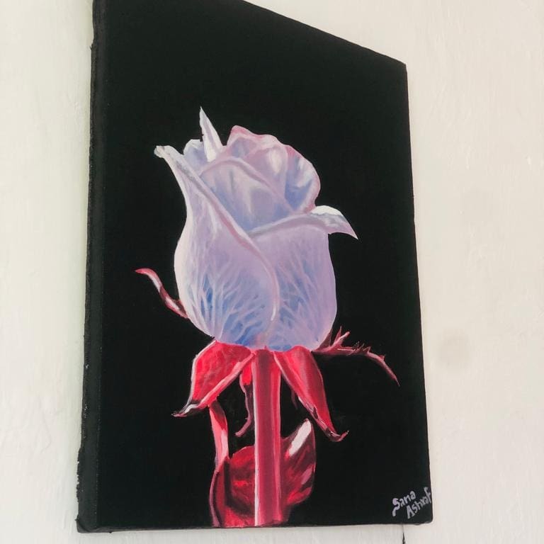 Sana_Artist's tweet photo. #InternationalArtistDay #Ubax
🌺🌷🎨Caawa waxaa idin sidaa labo Ubax oo kala midib ah waxaana rajeynaa iney ishiinu qaban doonto. #flowerpainting #somaliart https://t.co/wpTSMepfeH