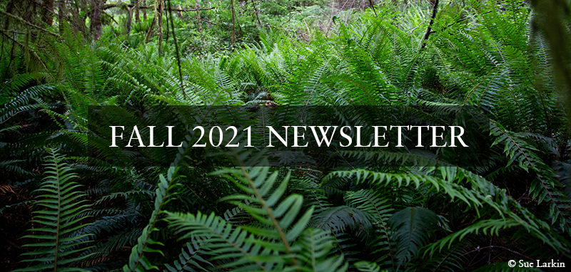 Fall has arrived on Bainbridge, and so has our newsletter! 🍂 Read it here: bit.ly/3bbmOru