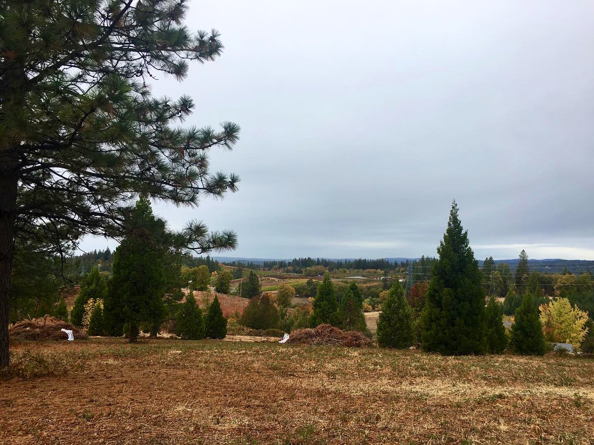 PackStringWines's tweet image. Fall weather has truly shown up this past weekend. Come check out our Campfire Chat on Packstringwines.com to learn a bit more about us and our journey while you hunker down and stay warm.