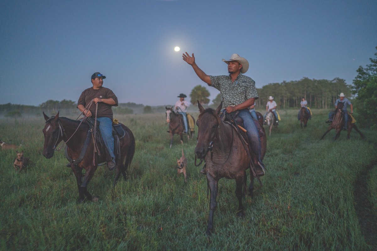 TheFlamingoMag's tweet photo. “Someone would look at my cowboy hat and say, ‘Are you from Texas?’ And I’d say. ‘Texas? What’s Texas? I’m from Florida, birthplace of the cattle industry in America!’” says seventh-generation rancher Jim Strickland.

📝@craigtimes
📷 @CarltonWard 

https://t.co/EniDYtxhG0 https://t.co/b48zskZ5eu