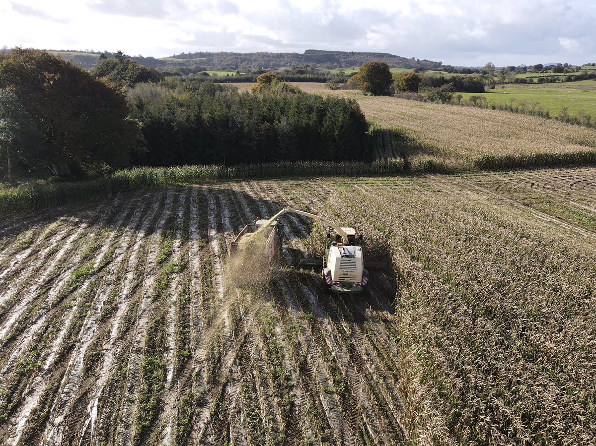 peatmossis's tweet photo. At the maize #harvest21 #krone #fullathepipe https://t.co/4UsERDg2jk