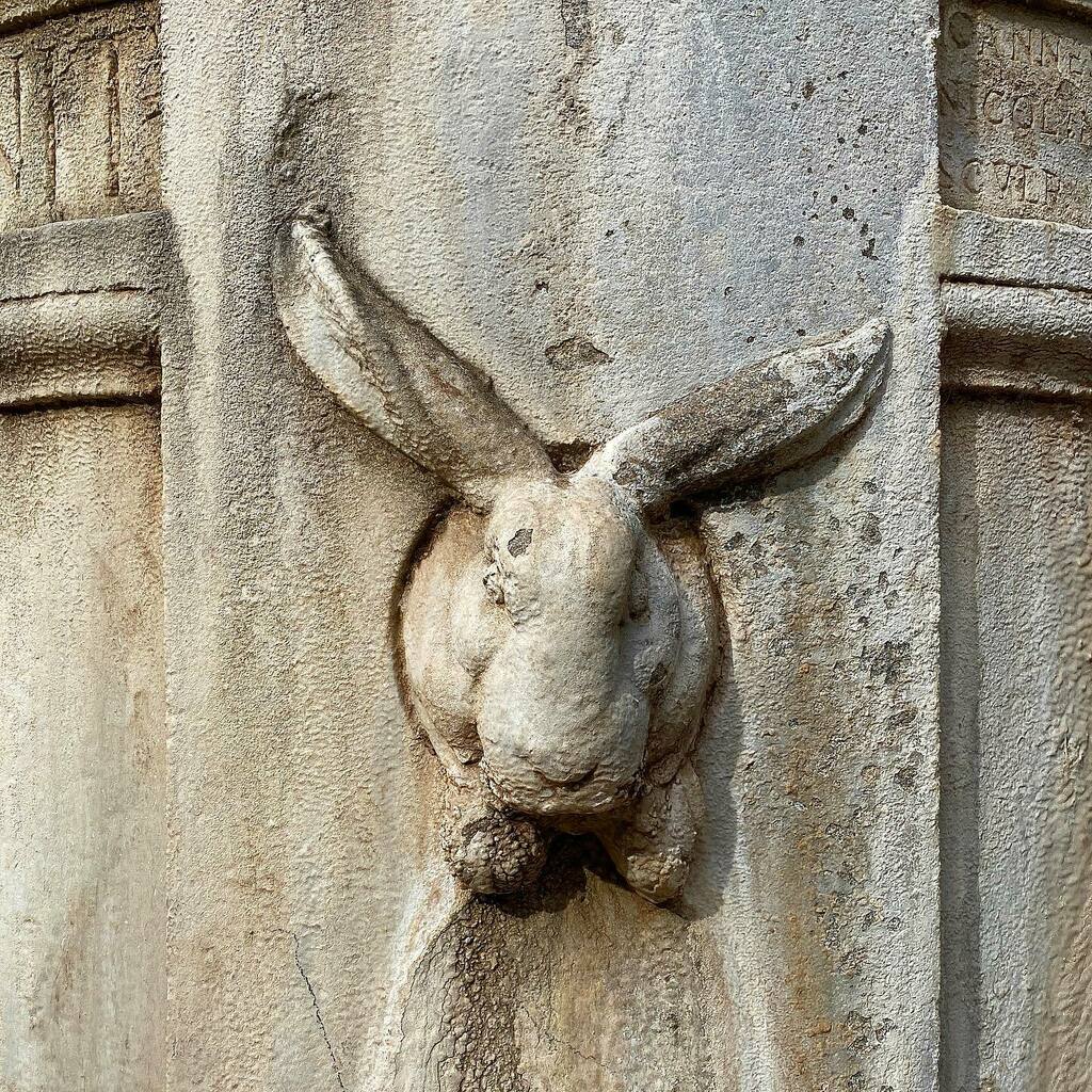 vollauschek's tweet photo. Villa Borghese gardens.
#romantimes #whiterabbit 
.
.
.
.
.

#inside #outside #beauty #outandabout #roma #rom #rome #thecuriouscameraclub #visualgram #tnscollective #banalography #basicallyclassic #jj_minimalarts #jj_minimalism #banalmag #photography #pe… https://t.co/StJvpoNlP2 https://t.co/4u1WtW3IBz