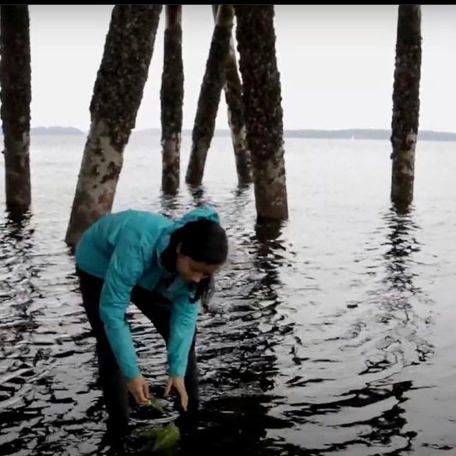 RefugeOutdoor's tweet photo. We had so much fun shooting with Suzannah Yu for the 2021 Refuge Outdoor Festival. If you love marine life and want to learn more about marine ecosystems watch Under the Salish here -> https://t.co/G8qAzpbqQA

#marinelife #salishsea #rof #marineecosystem https://t.co/kCFHTmwNOF