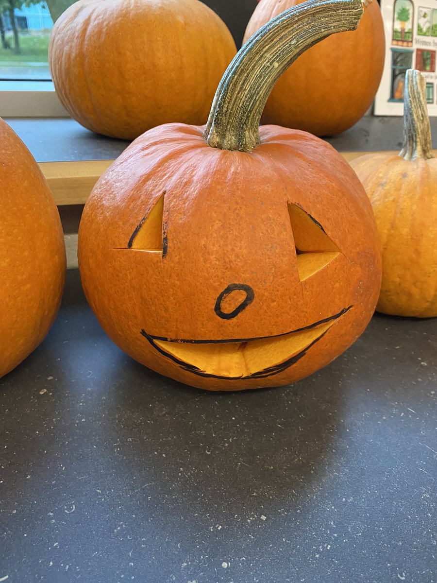 MrsEmburysClass's tweet photo. Pumpkin carving and procedural writing to start our week! https://t.co/AKgeweNqYj