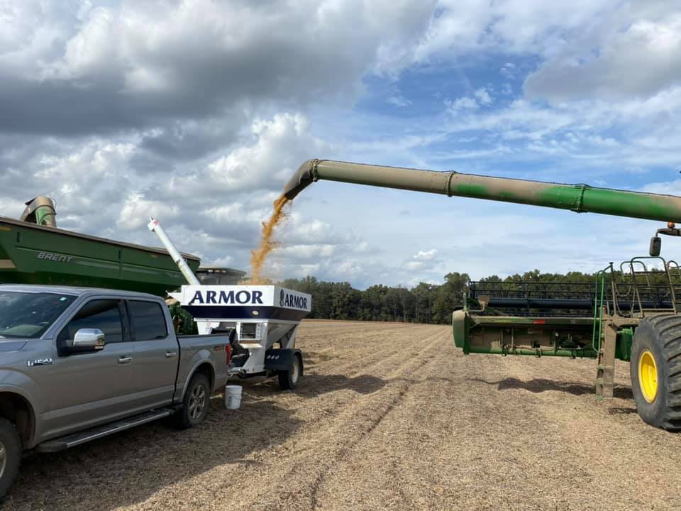 ArmorSeed's tweet photo. Down goes the #ArmorPlot on Flautt Farms near Webb, MIssissippi last week. Beautiful day to cut some #prettybeans! #ArmorBeans #StartStrong #harvest21 https://t.co/KJrLbHwNBg