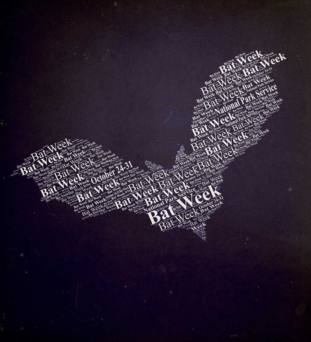 NatlParkService's tweet photo. “Bat!” - Laszlo Cravensworth 🦇

It’s #BatWeek! Millions of bats live in national parks. In fact, more than 45 unique species of bats can be found in national parks! They pollinate, eat insects, use echolocation, and fascinate visitors. Learn more at https://t.co/ilSIk26S8R https://t.co/J6MyulgVKw