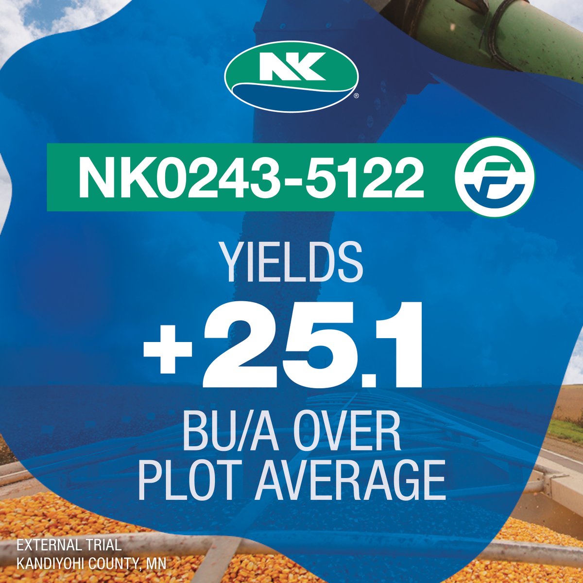 NKSeeds's tweet photo. When NK was founded in Minnesota back in 1884, our “Northern Grown Seeds” were known for being “more hardy and productive than any other” – we must have been onto something because NK0243-5122 yielded 213.8 Bu/A in Kandiyohi County, MN.

#NKHarvest https://t.co/pWBd6eZLuw