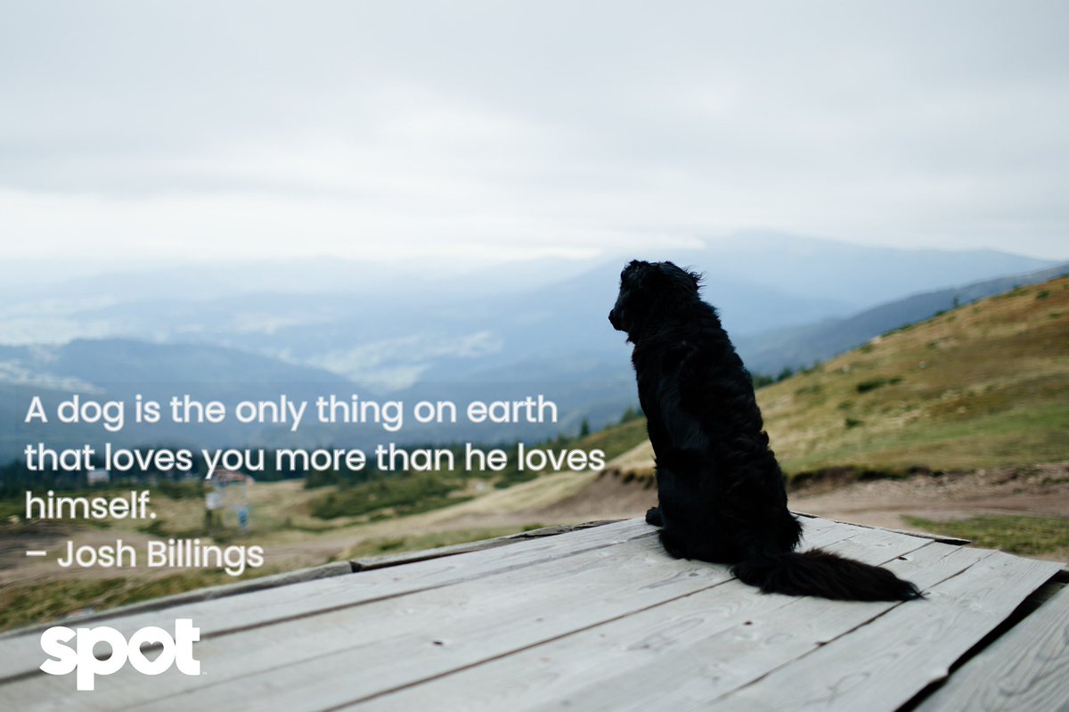 #DogLover #GetSpotCovered