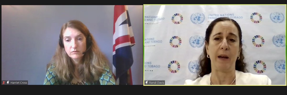 UN_TandT's tweet photo. Are you tuned in? We're talking #COP26 and the transition to the #GreenEconomy in our seminar now!  https://t.co/ofxOT6Y060 https://t.co/nZinwXXilW