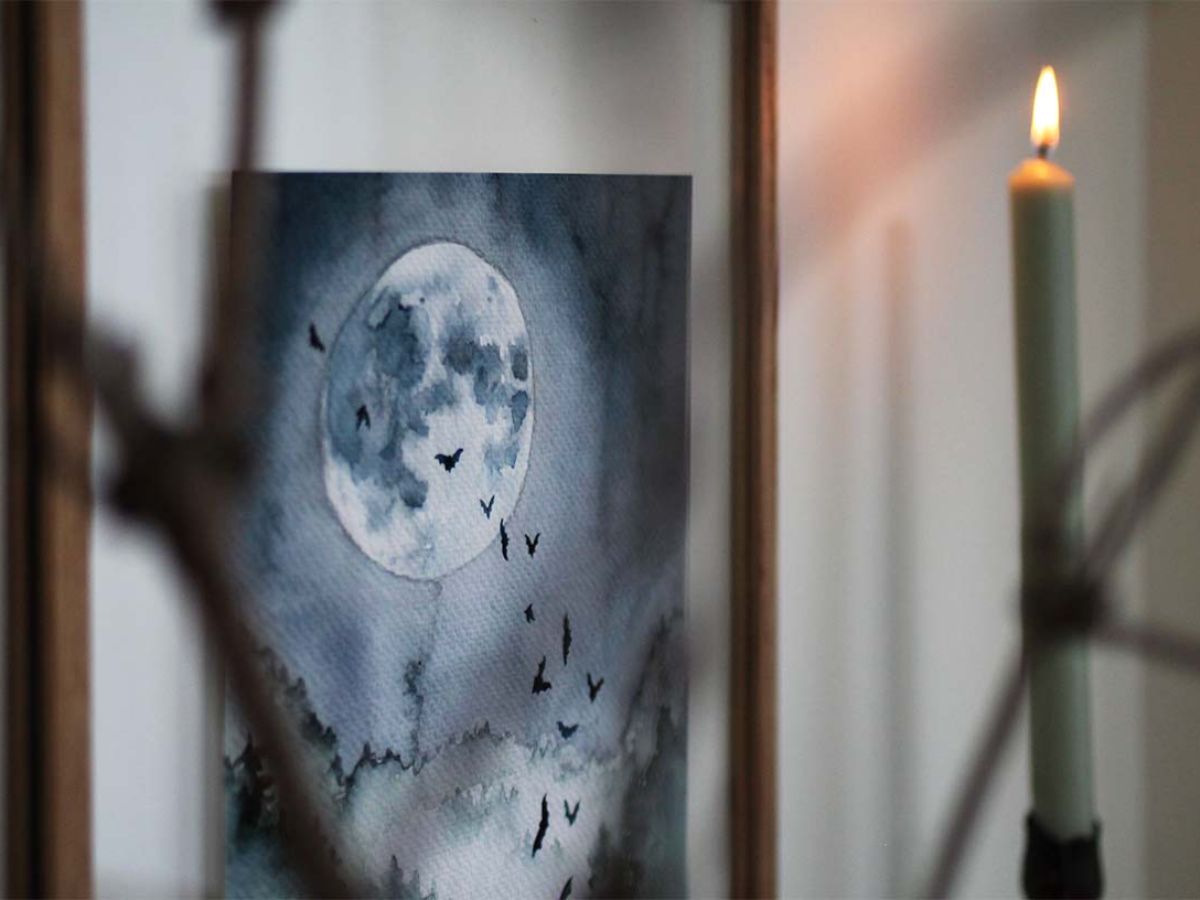 wearestardustUK's tweet photo. Mysterious bats talk tomorrow! (FREE) 🌠 - https://t.co/kfHWHf5BPH https://t.co/wJYLgEhn21