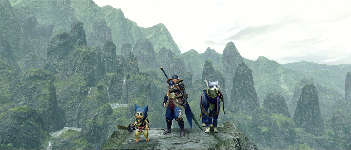 Monster Hunter tweet media