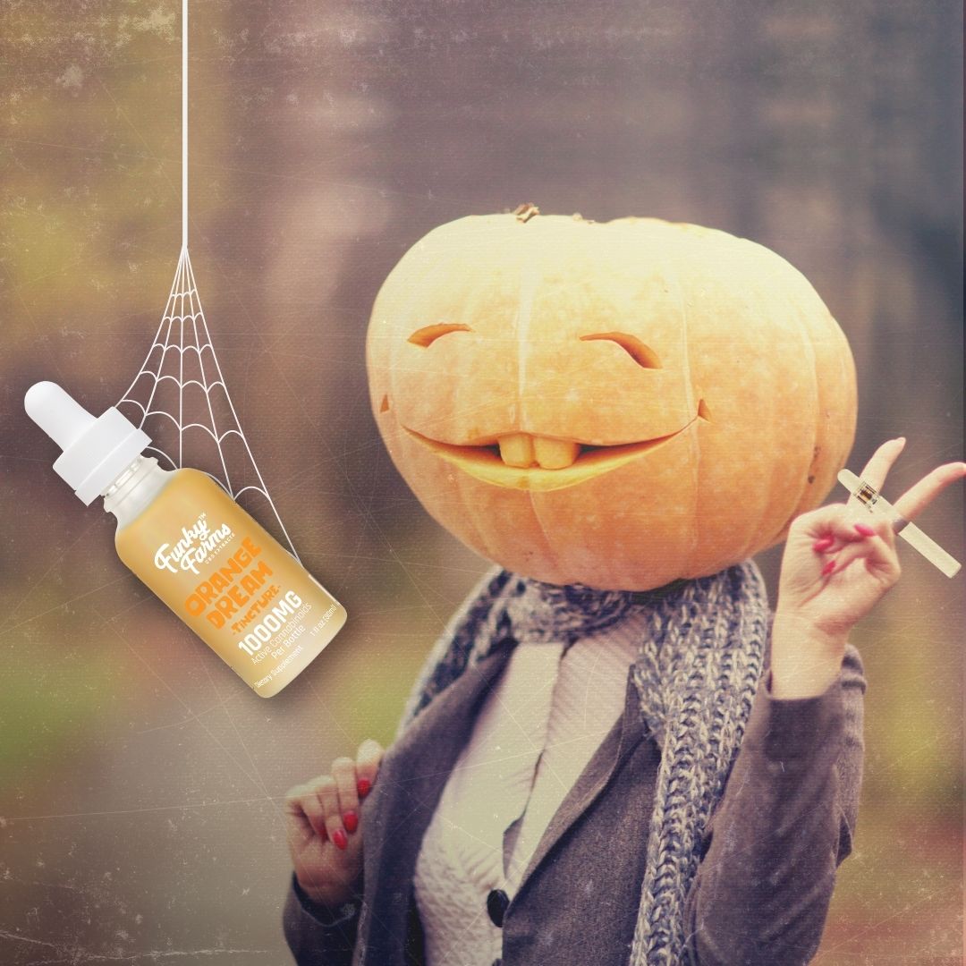 Don't Be Tricked...Get a Treat! - We're giving everyone a FREE Orange Dream 1000mg Tincture with any purchase over $100!  Just add to cart &amp; use code TREAT
.
#funky #halloween #pumpkin #trickortreat #free #giftwithpurchase #cbd #hemp #pumpkinhead #davidspumpkins