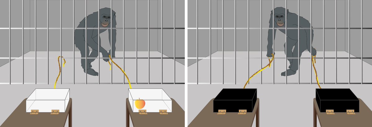 Jan Engelmann tweet media