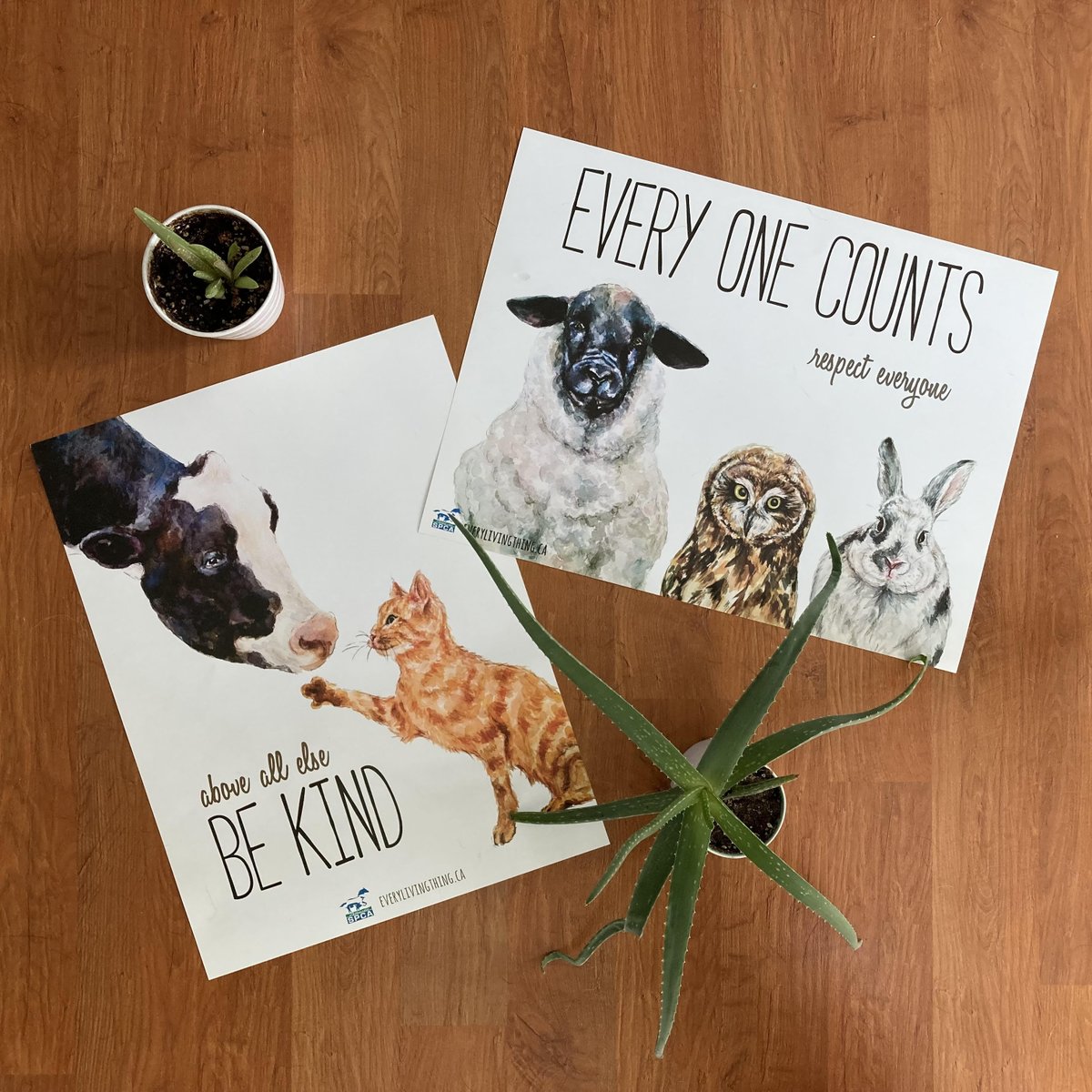 evrylivingthing's tweet photo. It is not to late to enter the 'Capture your Collection' contest! Teachers who post a photo of their character education poster collection in their classroom using the hashtag #CaringClassroom (and tag us) will be entered to win a $25 Indigo gift card! Contest closes this Friday. https://t.co/iopvdVWeQk